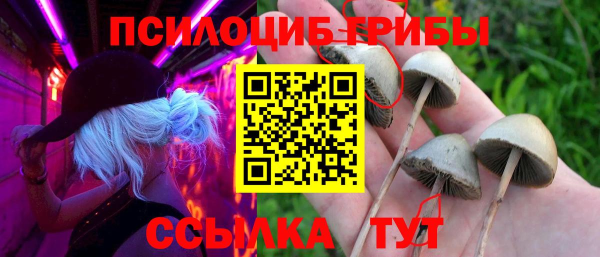 Псилоцибиновые грибы мухоморы  Вход с VPN  Братск 